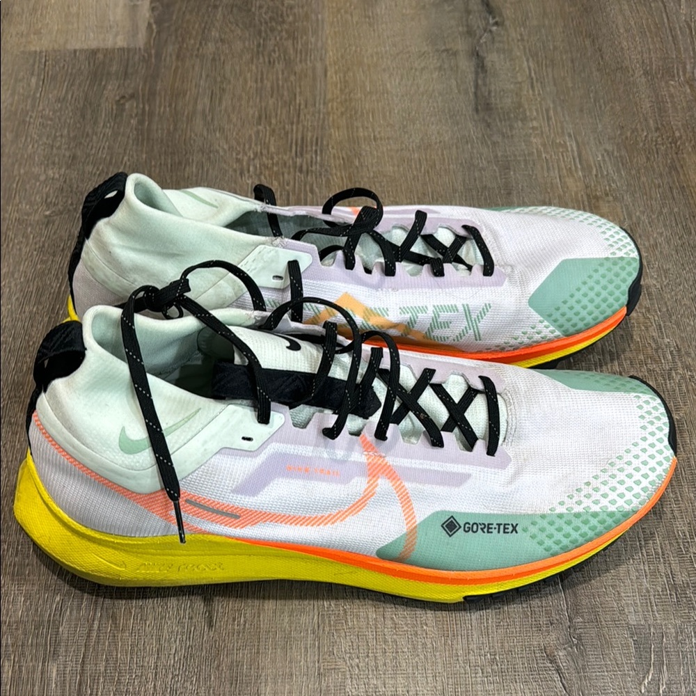 Nike Athletic Shoes - Gortex